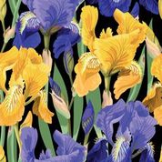 floral on black iris