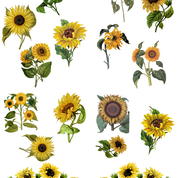 sunflowers furniture design